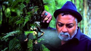 Bluey from Incognito - Hold On (Official Video)