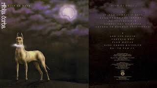 Riblja čorba - Neke čudne materije | [Official Music Audio]