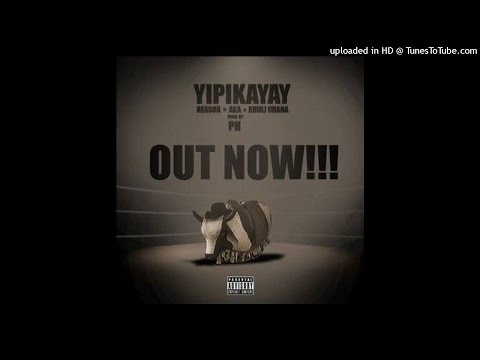 Reason Ft AKA & Khuli Chana - Yipikayay (NEW 2015)