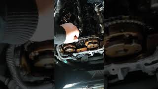 Bmw Steuerkette Gerissen Kênh Video Giải Trí Dành Cho Thiếu Nhi