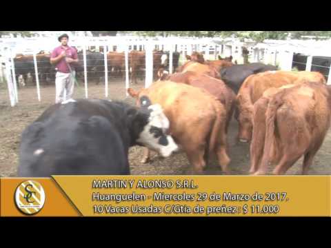 29-03-17 Venta de Vientres - Martin y Alonso S.R.L. - Huanguelén