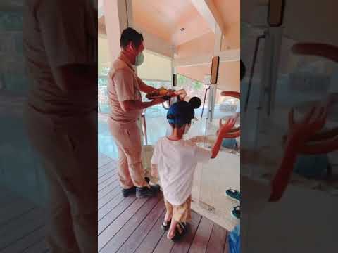 The Kasturi Resort (review)