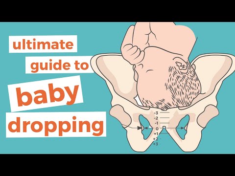 Top BABY DROPPING Questions Answered in 5 Minutes