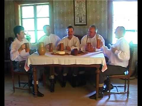 Daumantu muzikantai - subatos vakarely