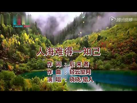 Khó tìm một người bạn tâm tình (Rén hǎi nán dé yī zhī jǐ - 人海难得一知己) - Vương Á Hoa