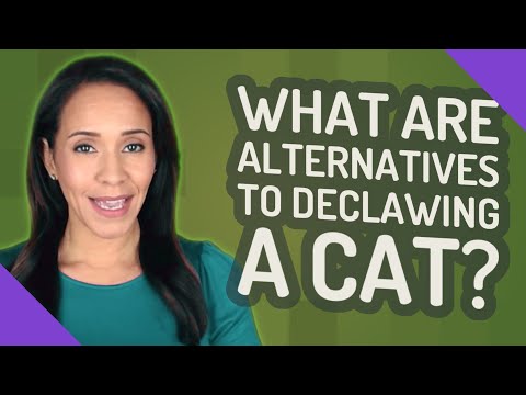 What are alternatives to declawing a cat?