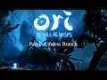 Ori 9 Petrified By Shriek Ori And The Will Of The Wisps