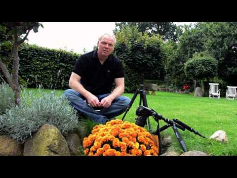 Tipps & Tricks Stativ Max, Lisa II und Luisa togopod