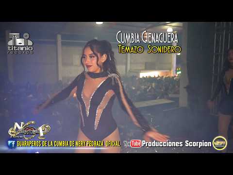 Cumbia Cienaguera 💃🏻🕺 Nery Pedraza y los Guaraperos de la Cumbia 🎙️