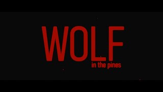 Wolf In The Pines