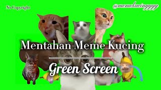 Download lagu Cat Memes Green Screen | Mentahan Meme Kucing Green Screen 2025 mp3