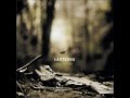 Lanterna - Saturn's Rings