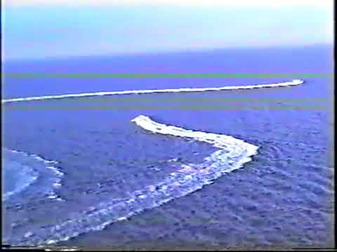 INSEGUIMENTO GUARDIA DI FINANZA