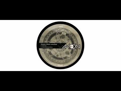 Halcyonic & G Roots / Junior Dread - Future - 12" - Moonshine Recordings