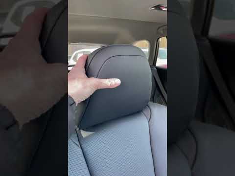 Adjusting the Headrests