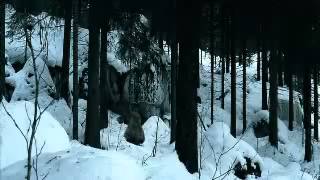 Ensiferum - Ahti (Official Music Video)