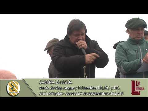 27-09-18 Venta de Vientres Angus y P. Hereford P.P., P.C. y P.R. - Cab. La Legua S.A. - C. Pringles