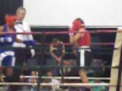hone huni golden gloves 2011