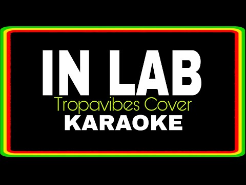 IN LAB - REGGAE KARAOKE VERSION | MVM KARAOKE PLAYLIST