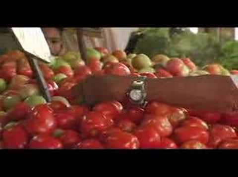 Lider dos Templarios - Jorges (Mautner, Ben, Aragão Vercilo)