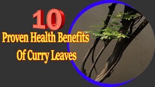 10 Proven Health Benefits Of Curry Leaves | Useful info