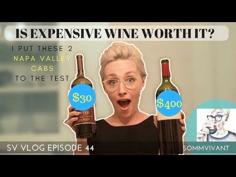 $30 CAB VS. $400 CAB - IS EXPENSIVE WINE REALLY WORTH IT? SV VLOG, ep.44
