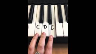 Mary had a little lamb - simple version