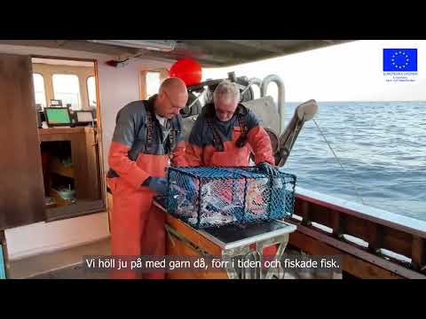 poster-bild för video