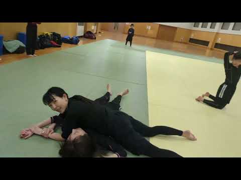 ノーギ柔術稽古の様子