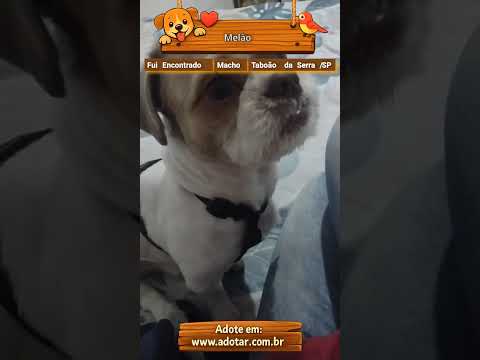 Vídeo de Melão