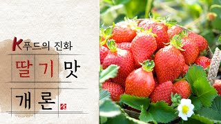딸기는 언제가 제철일까? 딸기맛개론 | K푸드의 진화 ep.3