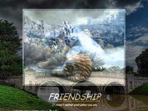 For my friends - Marijana Zovko.WMV