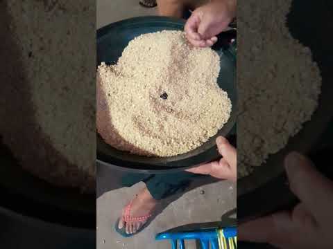 fartura do Maranhão