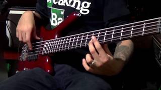 Jinjer  - Who is gonna be the one (Bass Cover / With Tab)