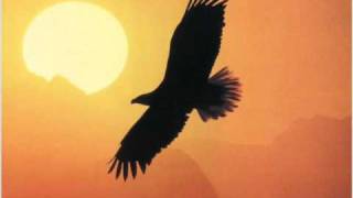 franco battiato-le aquile non volano a stormi