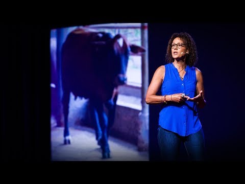 飢えた子供たちをどうやって助けるか、一度に一文ずつ (飢えた子供たちをどうやって助けるか、一度に一文ずつ | Su Kahumbu) (【TED】Su Kahumbu: How we can help hungry kids, one text at a time (How we can help hungry kids, one text at a time | Su Kahumbu))