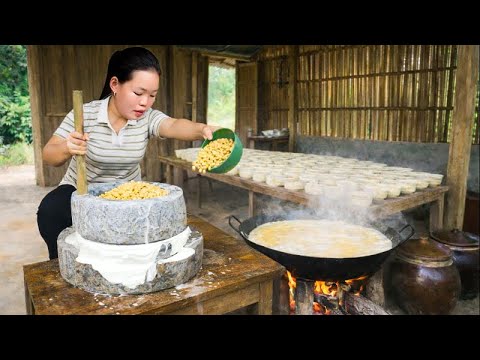 Traditional Recipe: How to Make Soft Tofu from Soybean to Sell at Market