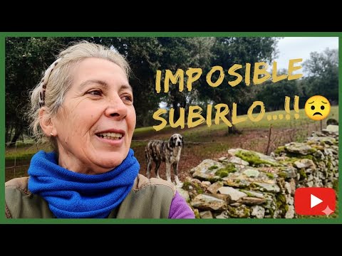 NO HEMOS PODIDO COGERLO…