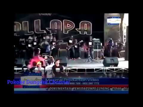 Dangdut Koplo New Palapa Terbaru 2016 Full