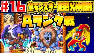 【テリワン】やっとAランク昇格戦！モンスター100％コンプリート実況Part16【テリーのワンダーランドRETRO】