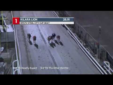 2020 RPGTV STEEL CITY CUP - HEAT 4 - T1 KILARA LION