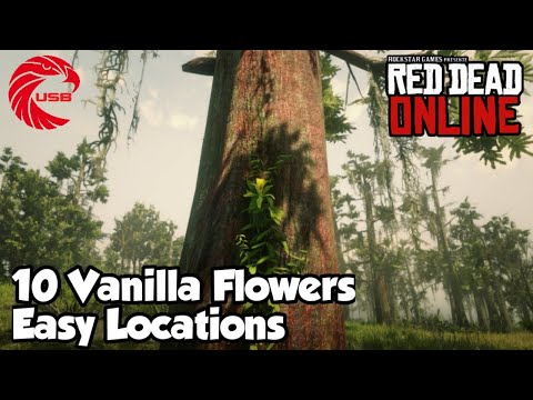 Vanilla Flower Location Rdr2