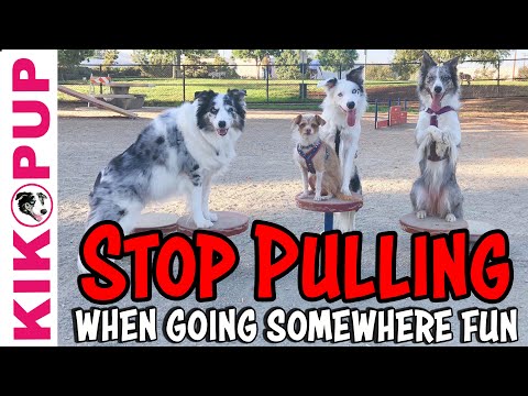 STOP UNWANTED behaviors with BACK UP