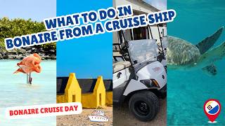 Experience The BEST Of Bonaire On Your Caribbean Cruise