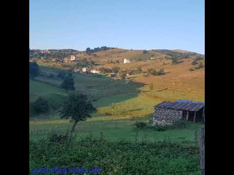 İZZET ALTINMEŞE  hayin eller eller