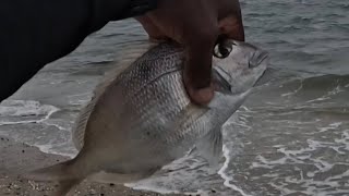 North Shore Long Island Fishing During the  Storm |#fishingaddict #bottomfishing