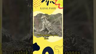 Download lagu 5 Hewan Bertahan Hidup di Gurun Pasir #faktaunik #faktahewan #faktadunia mp3