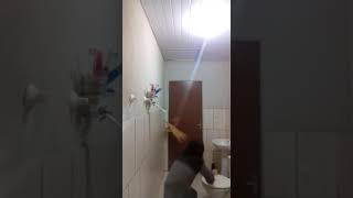 Catch a rat with a cat... FAIL!