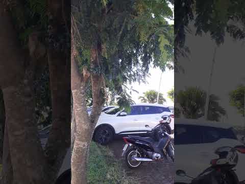 Bom dia cidade de ampere Paraná