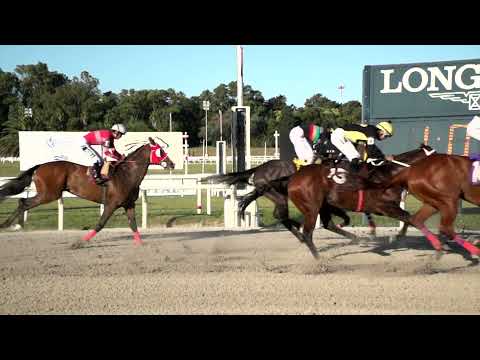 211219 c08 Sisley/ STRANGE AVE